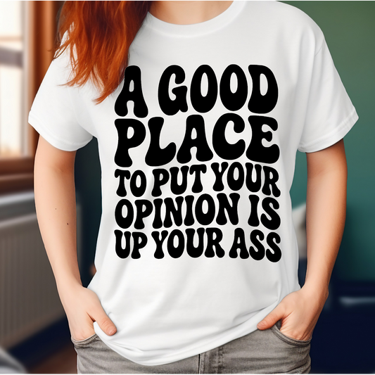 A good place to put your opinion Adult Language T-shirt