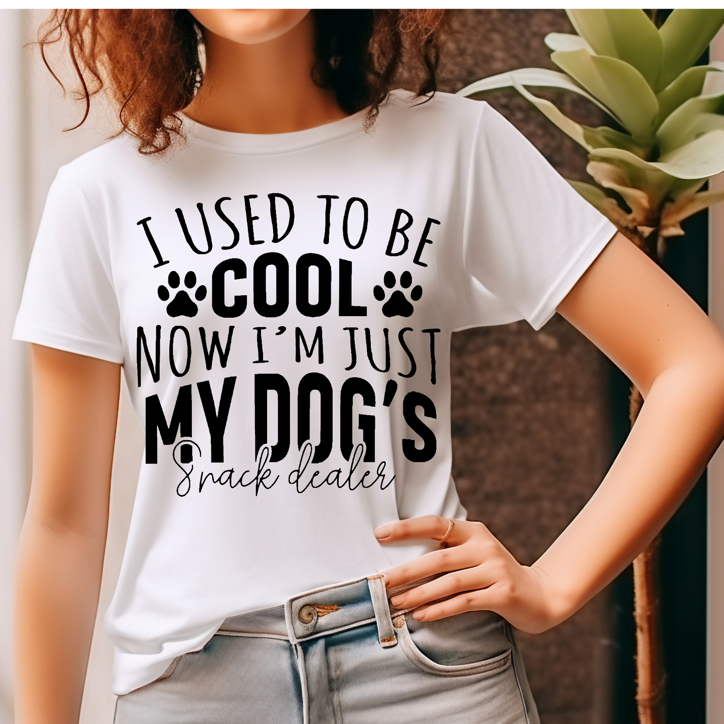 I used to be cool now I'm just my dogs snack dealer DTF Transfer