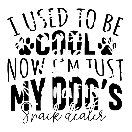 I used to be cool now I'm just my dogs snack dealer DTF Transfer