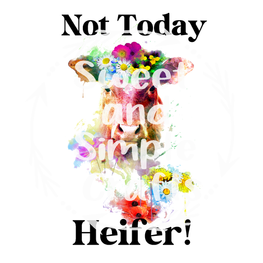 Not today heifer DTF transfer