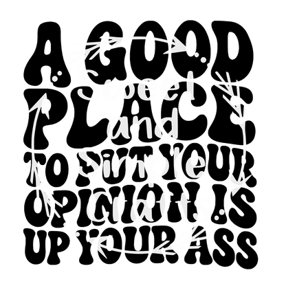A good place to put your opinion Adult Language T-shirt