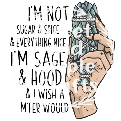 I'm not sugar and spice Adult Language T-shirt