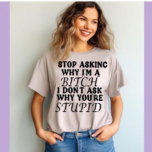 Stop asking why Adult Language T-shirt