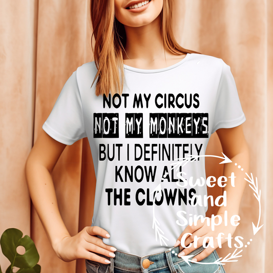 Not my circus not my monkeys T-shirt